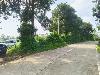 Farmlot for Sale in Minantok East, Amadeo, Cavite
